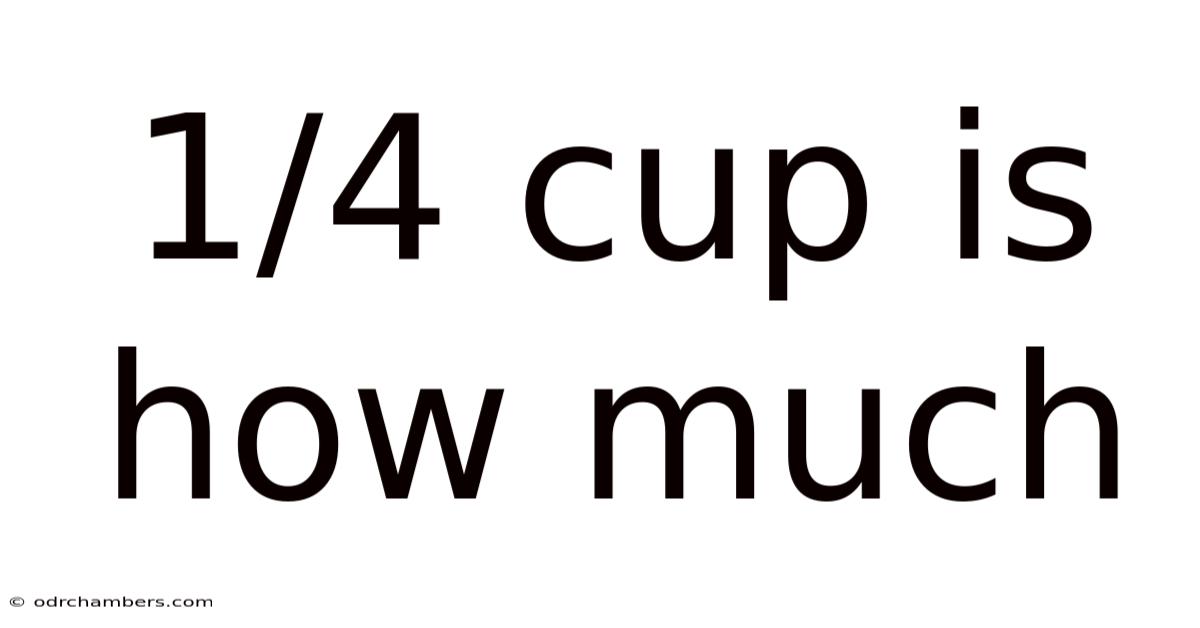1/4 Cup Is How Much
