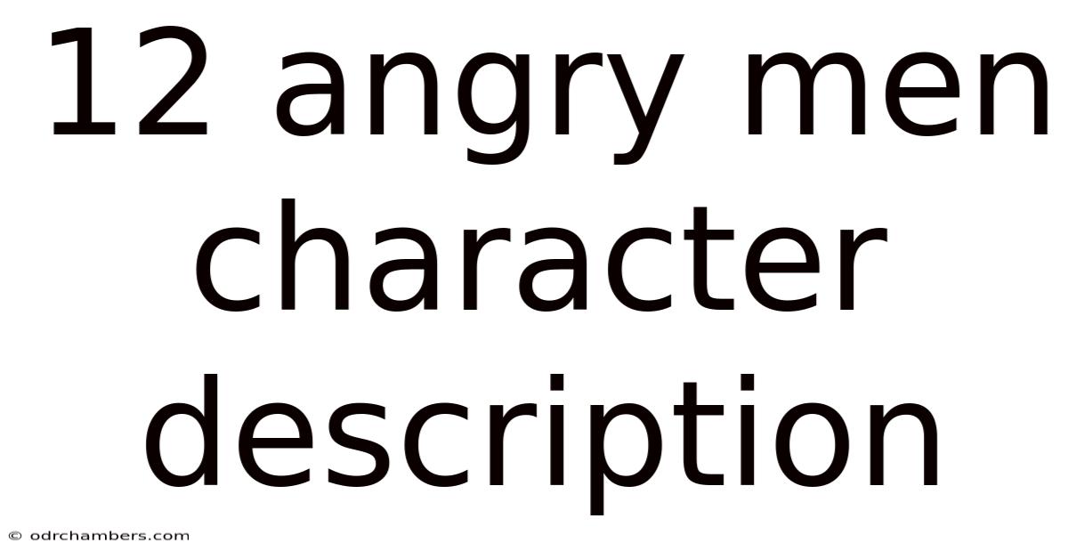 12 Angry Men Character Description