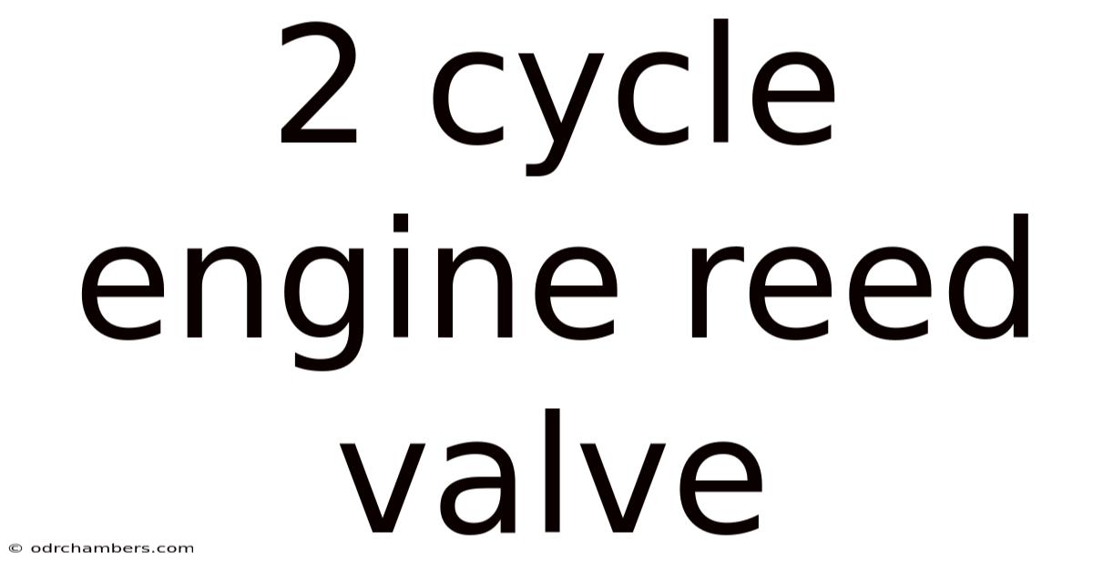 2 Cycle Engine Reed Valve