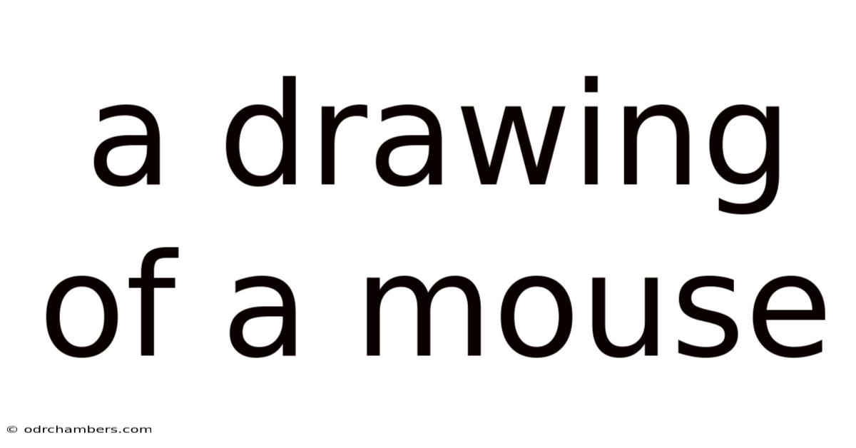 A Drawing Of A Mouse
