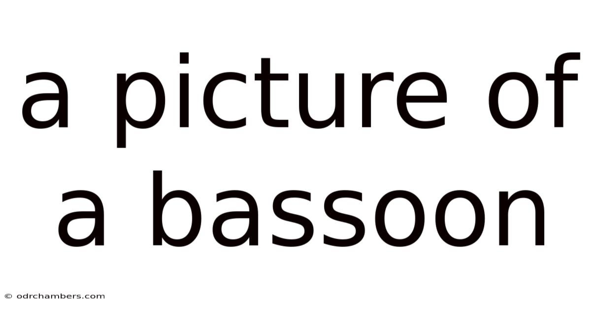 A Picture Of A Bassoon