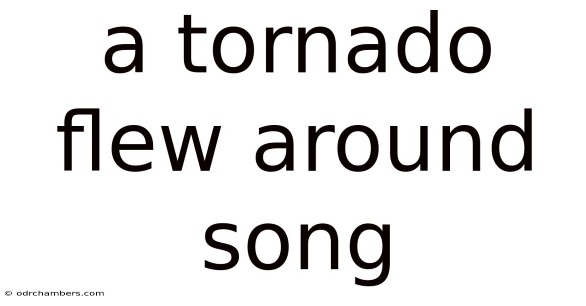 A Tornado Flew Around Song