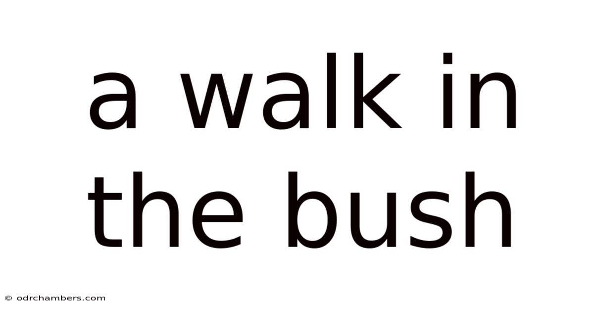 A Walk In The Bush