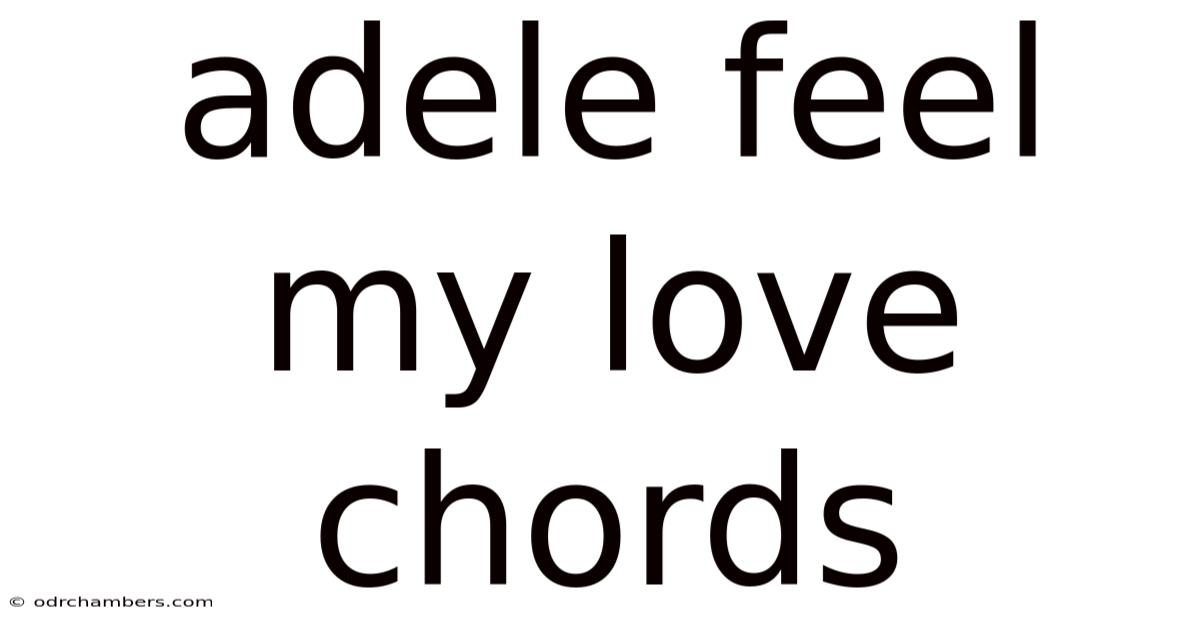 Adele Feel My Love Chords