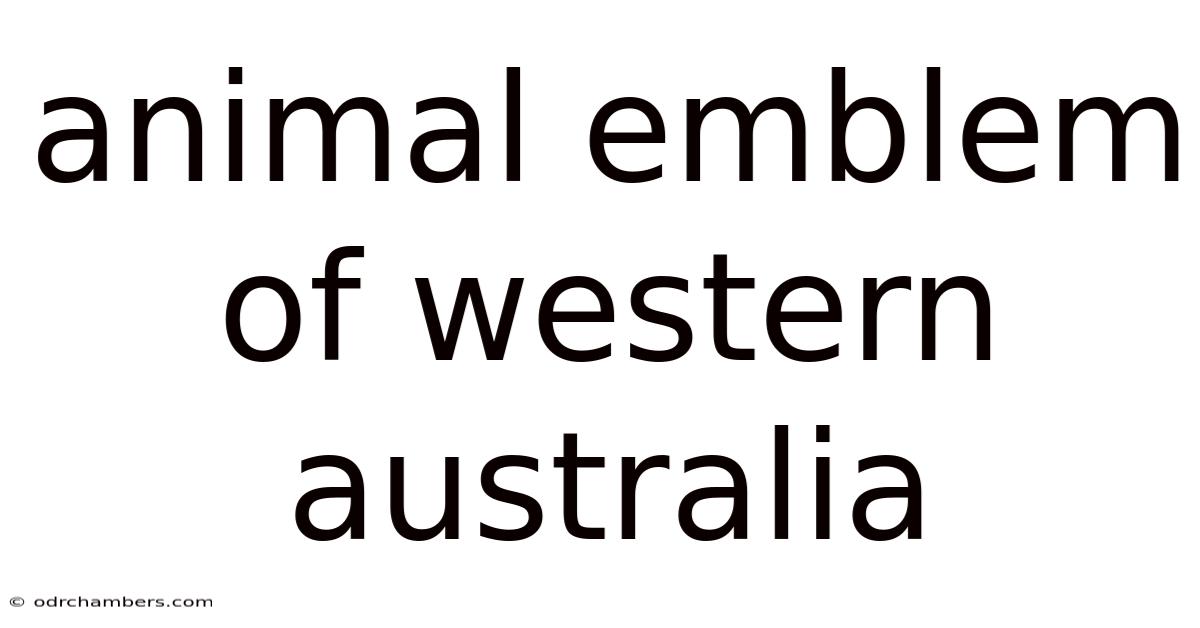 Animal Emblem Of Western Australia