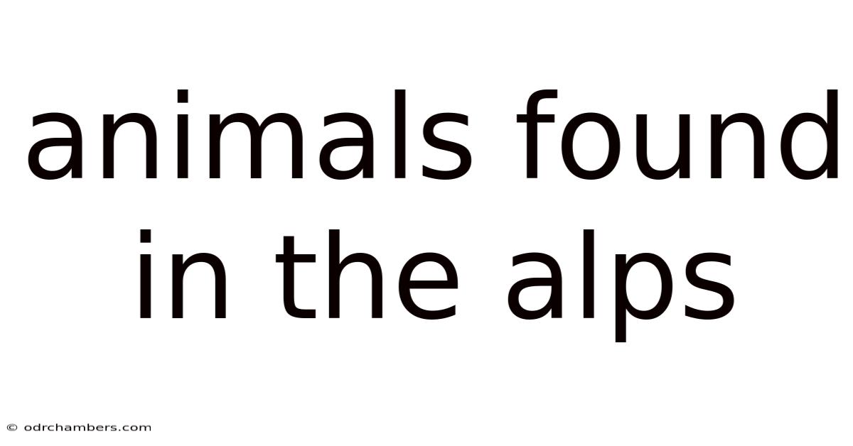 Animals Found In The Alps