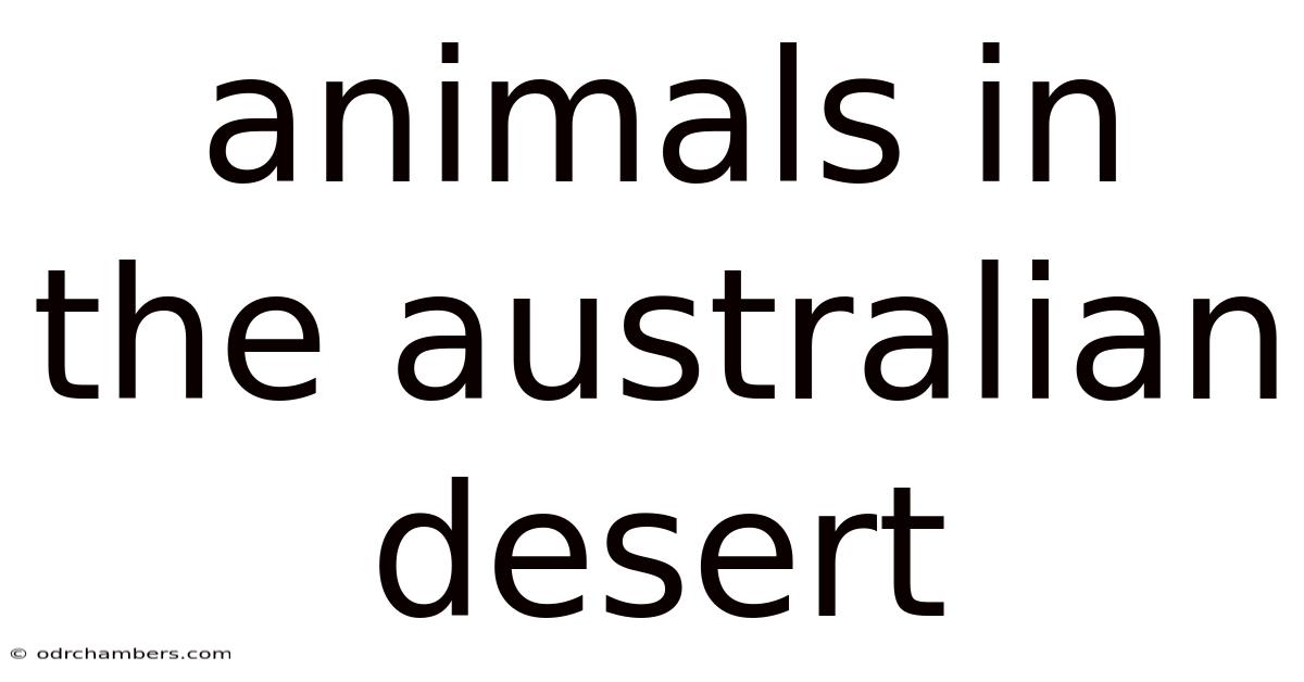 Animals In The Australian Desert