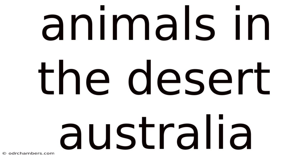 Animals In The Desert Australia