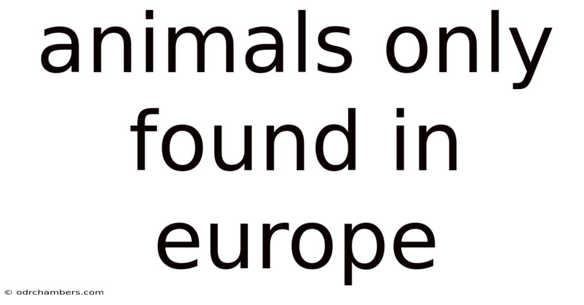Animals Only Found In Europe