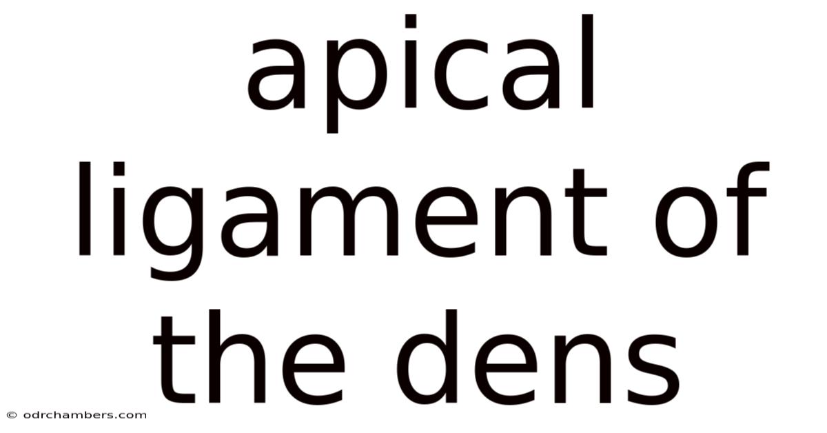 Apical Ligament Of The Dens