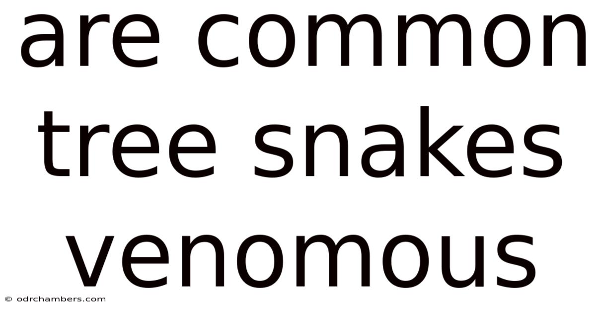 Are Common Tree Snakes Venomous