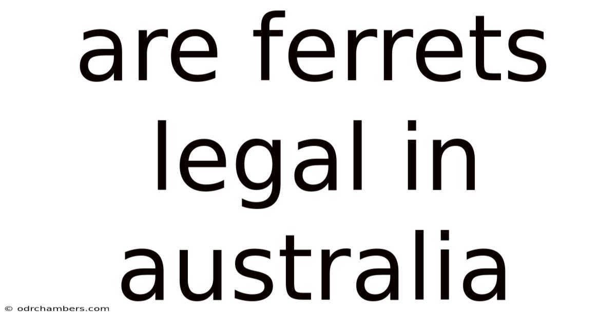 Are Ferrets Legal In Australia