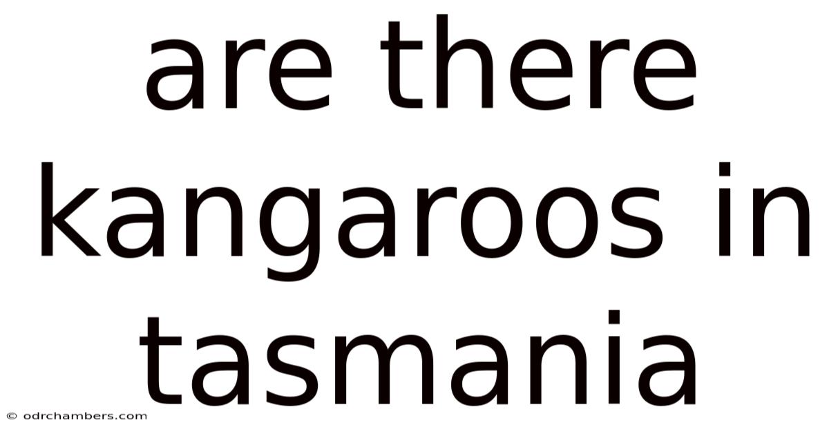 Are There Kangaroos In Tasmania