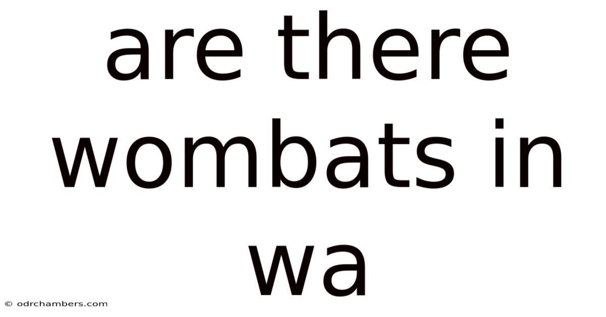 Are There Wombats In Wa