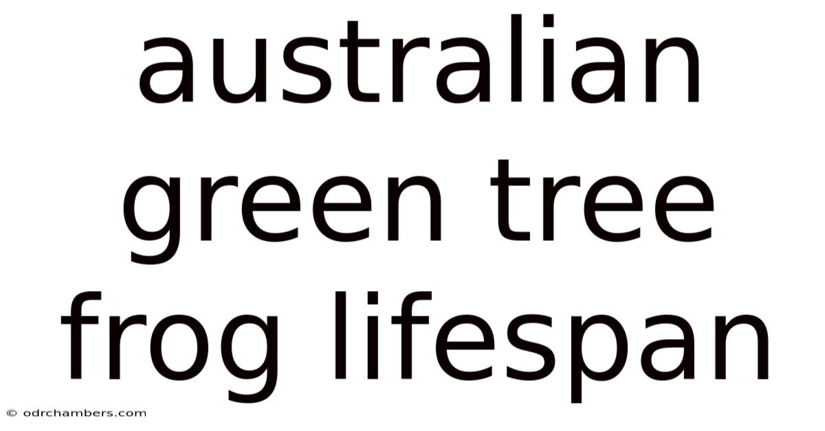 Australian Green Tree Frog Lifespan