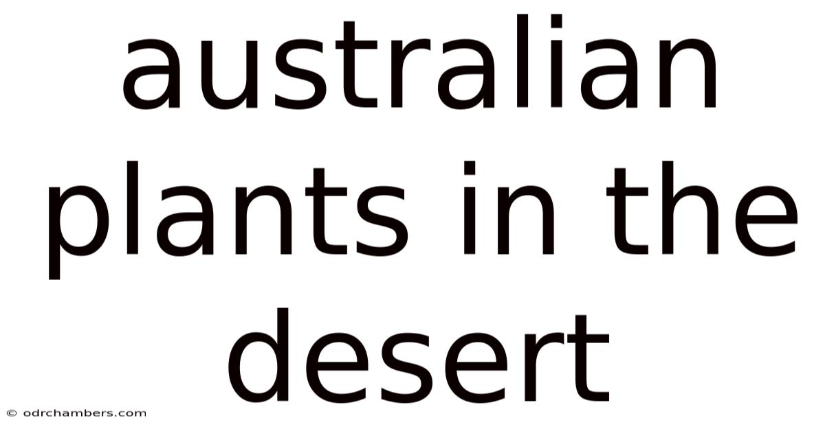 Australian Plants In The Desert