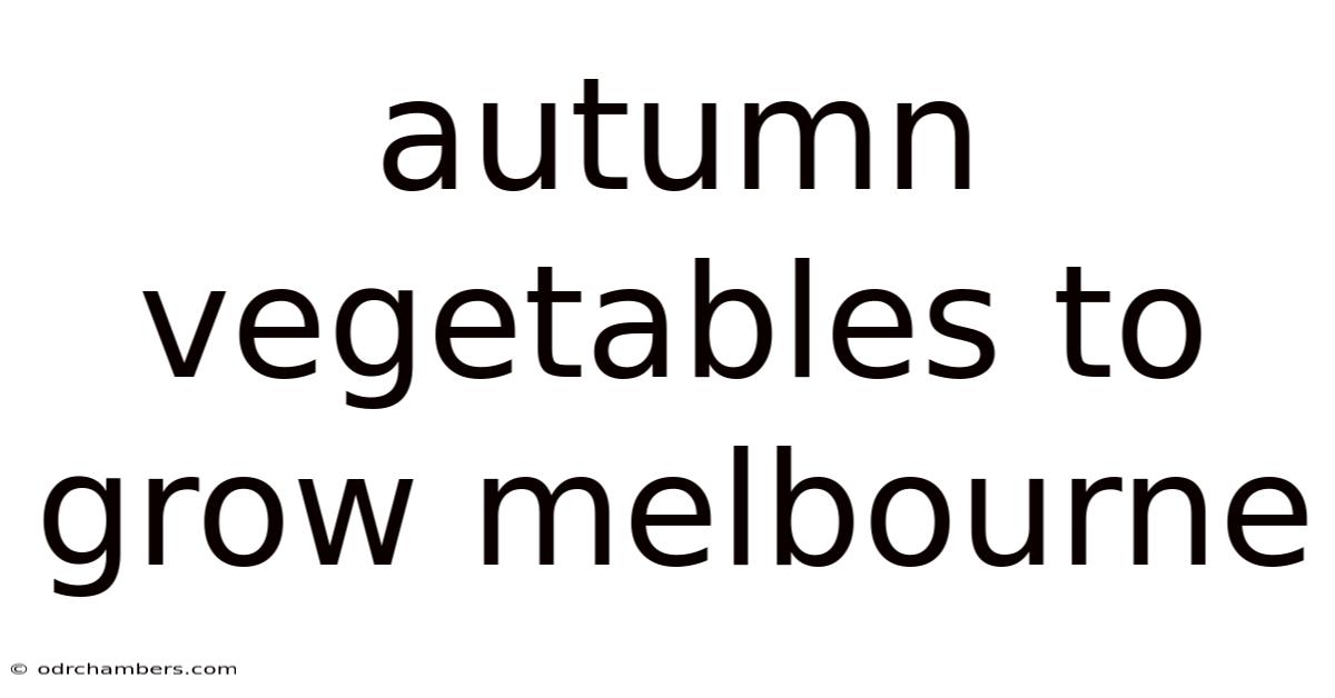 Autumn Vegetables To Grow Melbourne