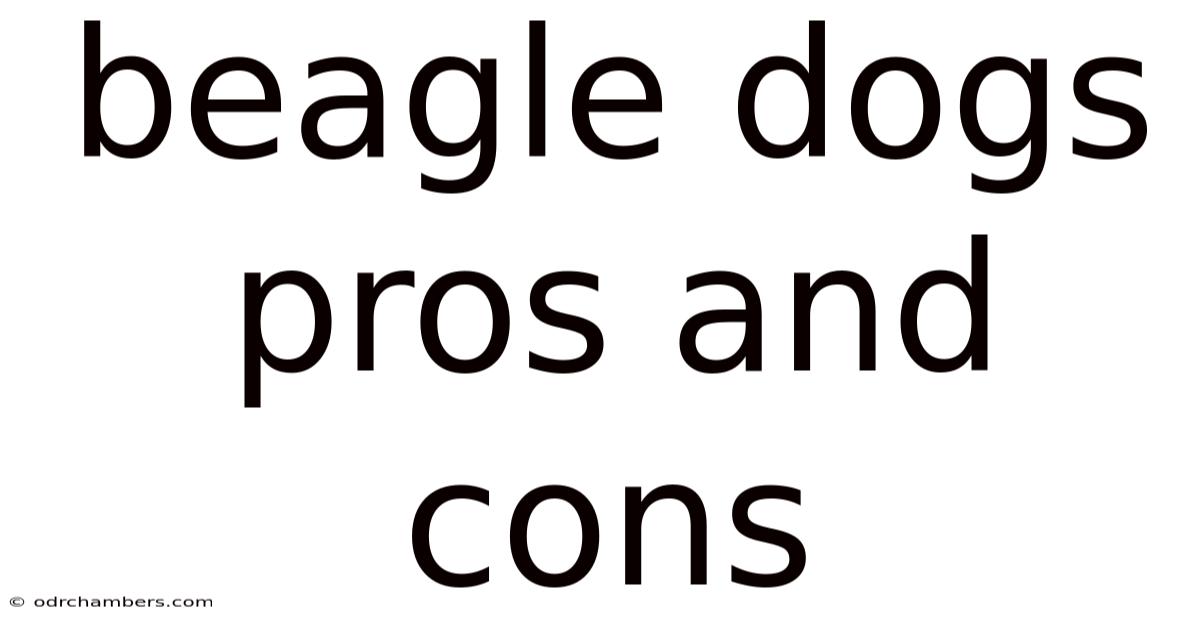 Beagle Dogs Pros And Cons