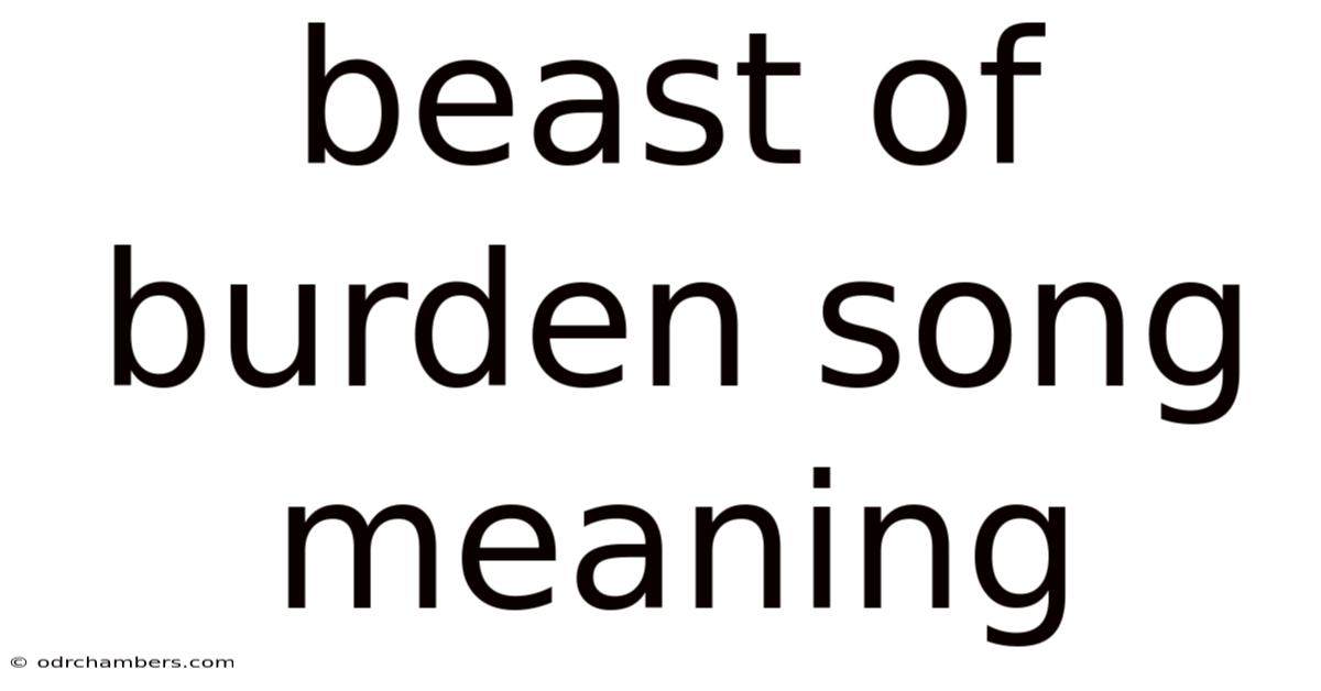 Beast Of Burden Song Meaning