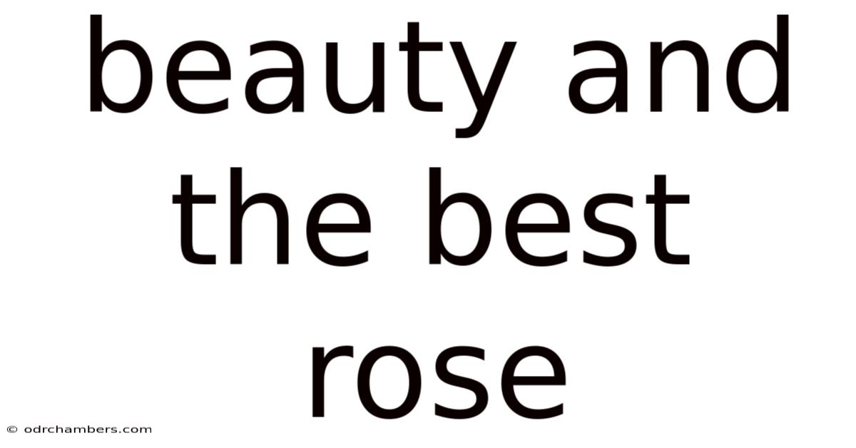 Beauty And The Best Rose