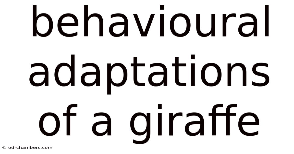 Behavioural Adaptations Of A Giraffe