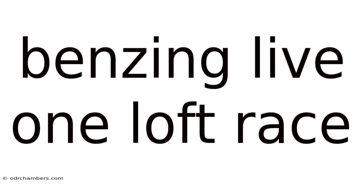 Benzing Live One Loft Race