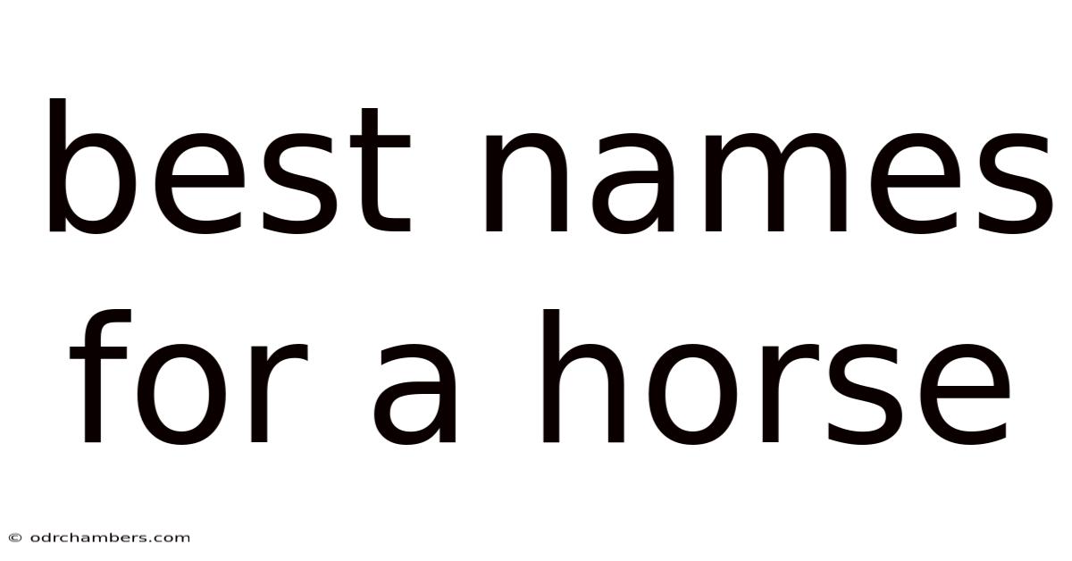 Best Names For A Horse