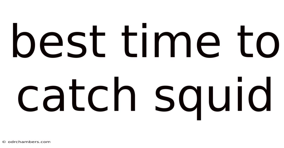 Best Time To Catch Squid