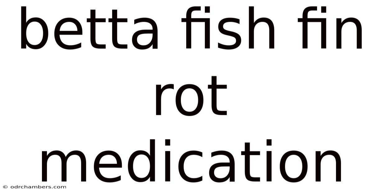 Betta Fish Fin Rot Medication