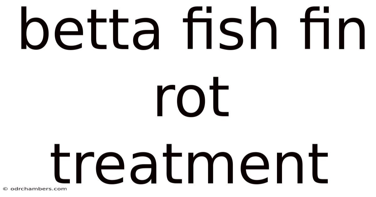 Betta Fish Fin Rot Treatment