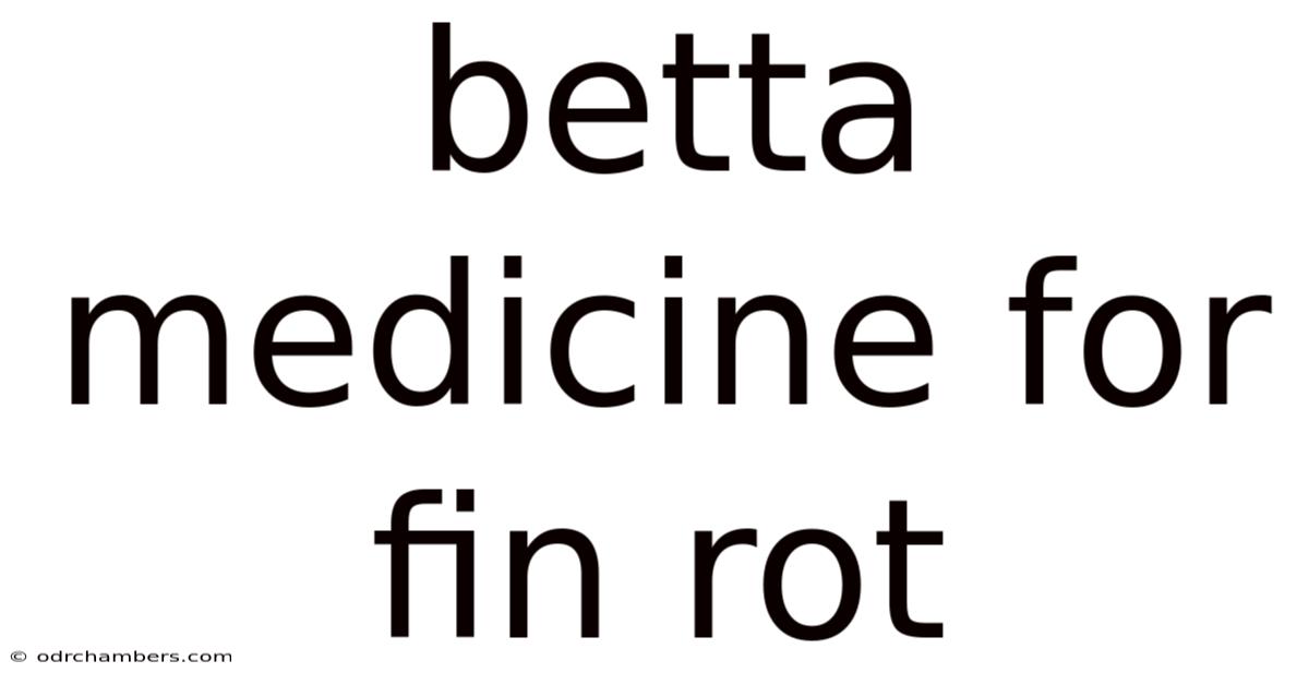 Betta Medicine For Fin Rot