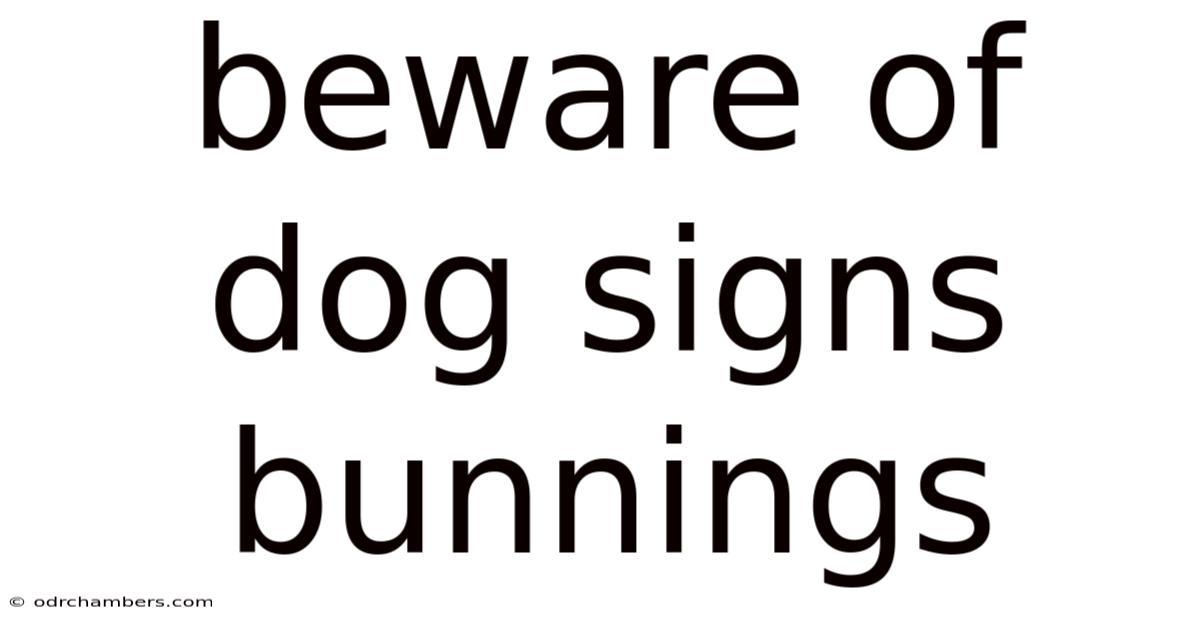Beware Of Dog Signs Bunnings