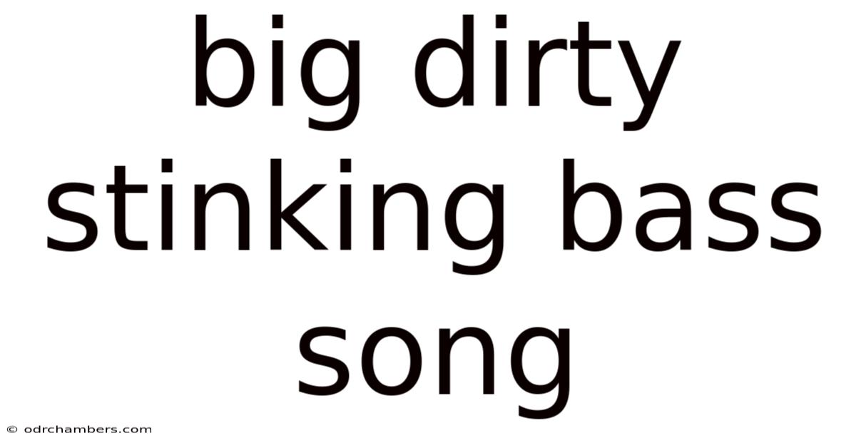 Big Dirty Stinking Bass Song