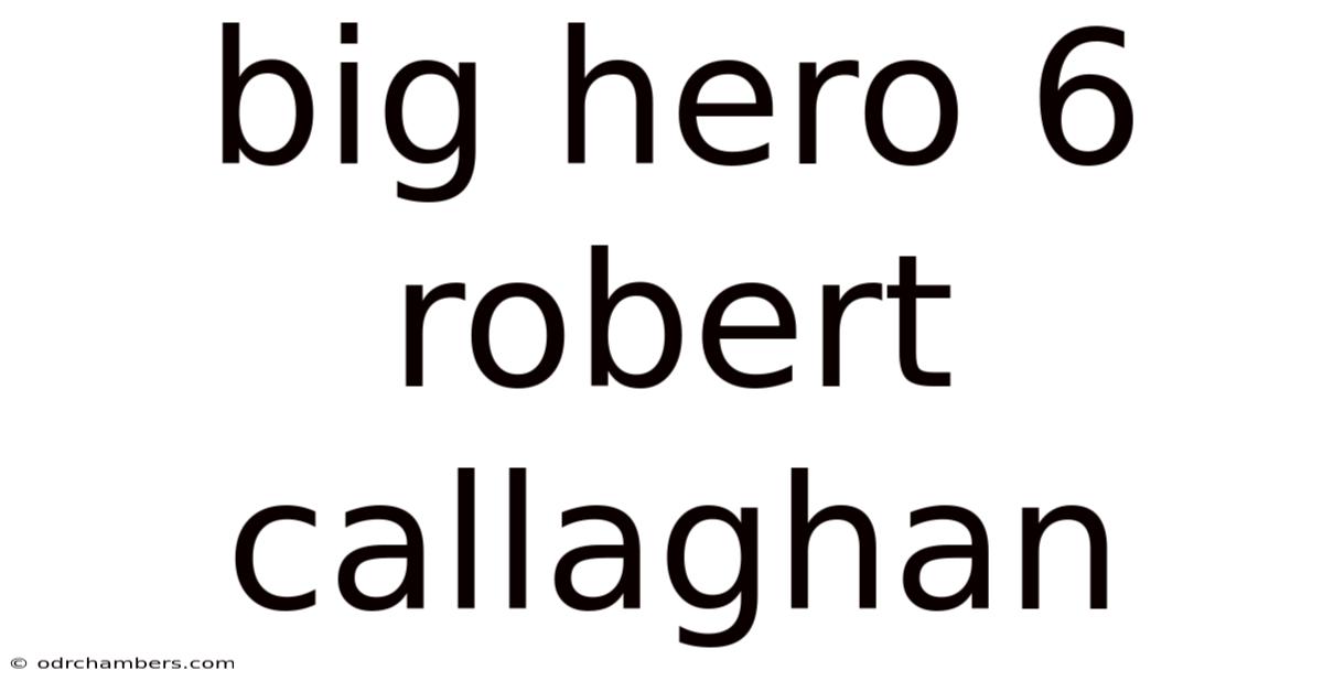 Big Hero 6 Robert Callaghan