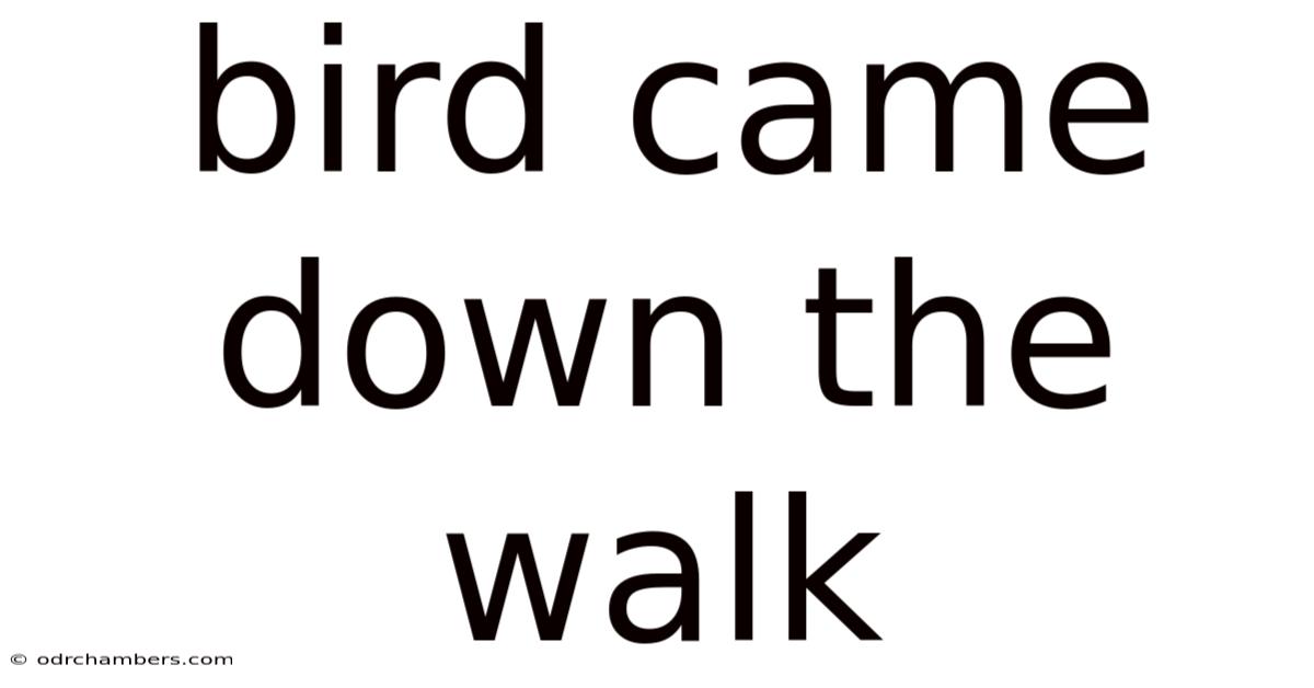 Bird Came Down The Walk