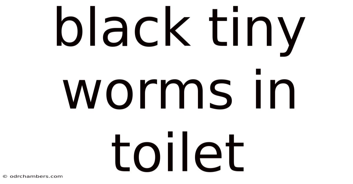 Black Tiny Worms In Toilet
