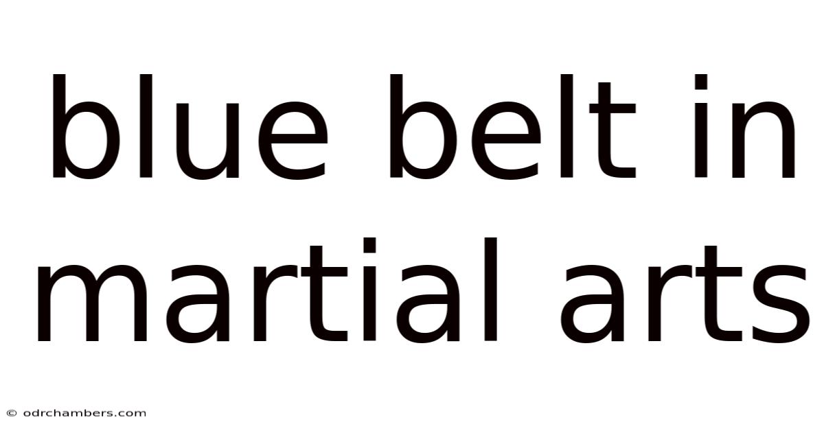 Blue Belt In Martial Arts