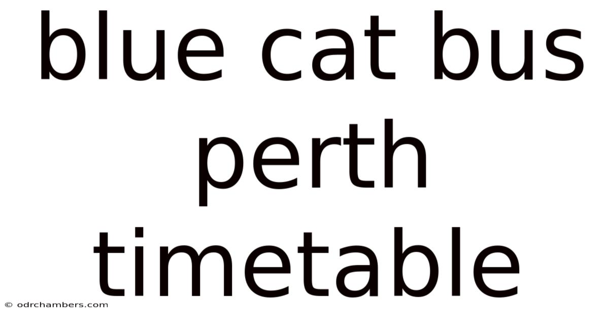 Blue Cat Bus Perth Timetable