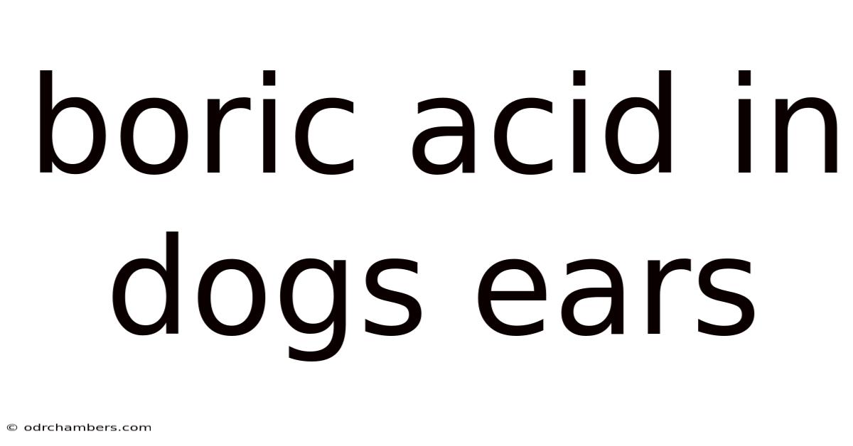 Boric Acid In Dogs Ears