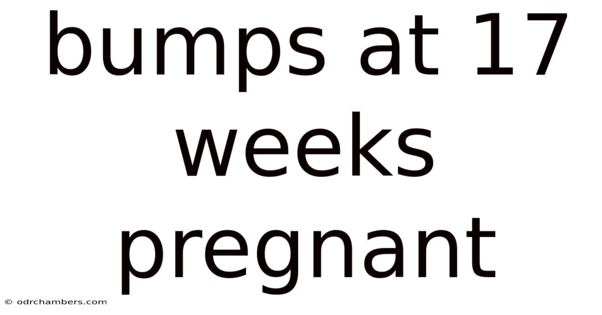 Bumps At 17 Weeks Pregnant