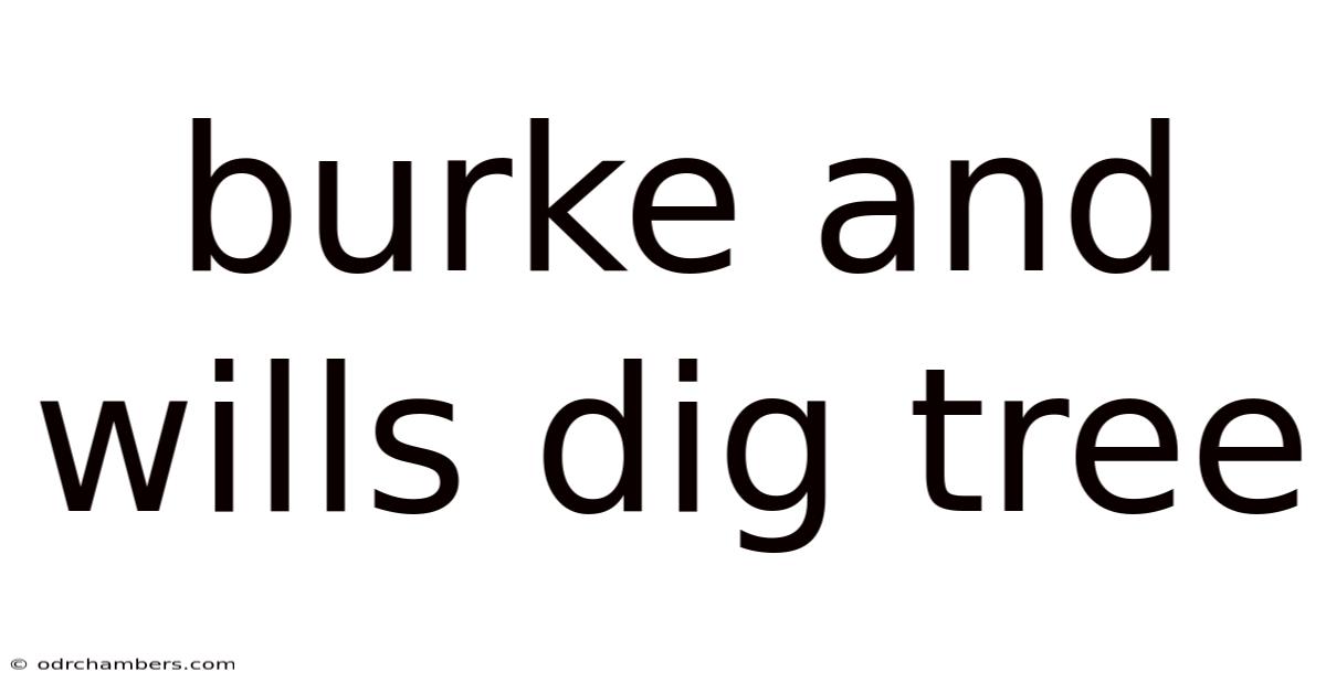 Burke And Wills Dig Tree