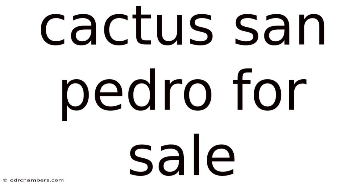 Cactus San Pedro For Sale