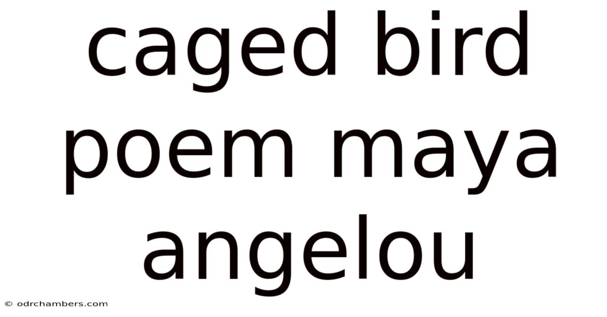 Caged Bird Poem Maya Angelou