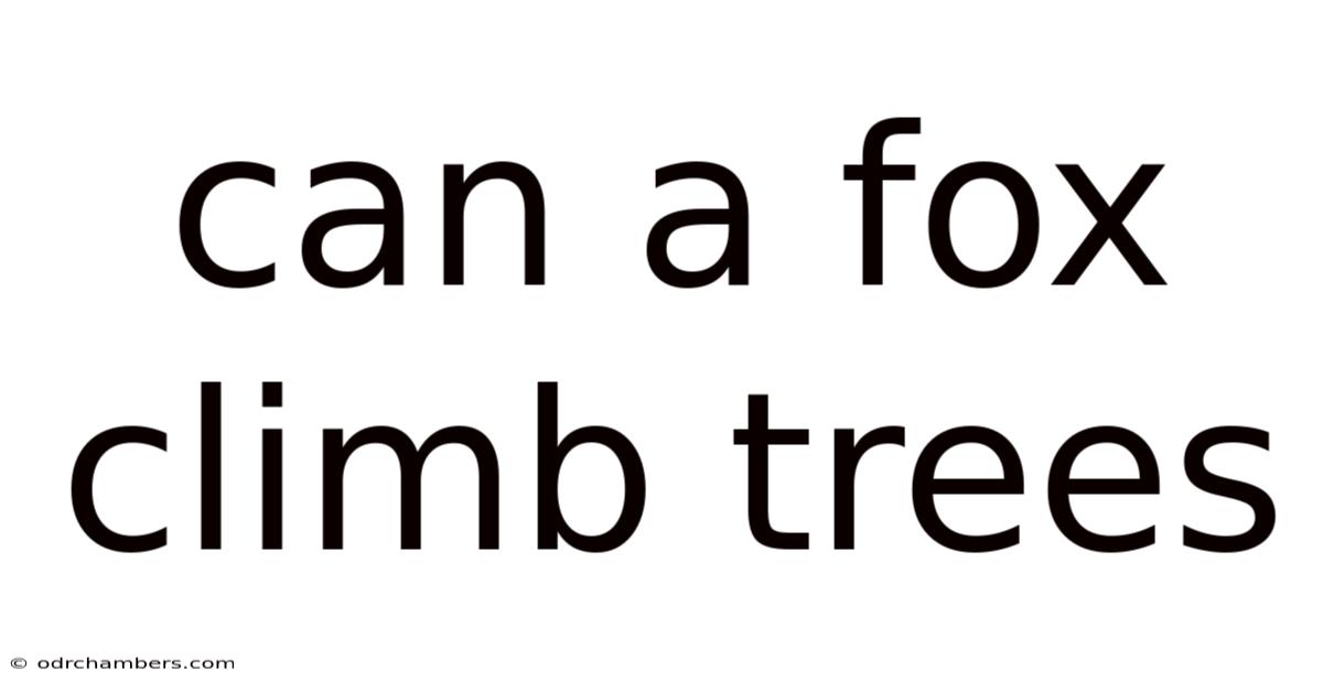Can A Fox Climb Trees