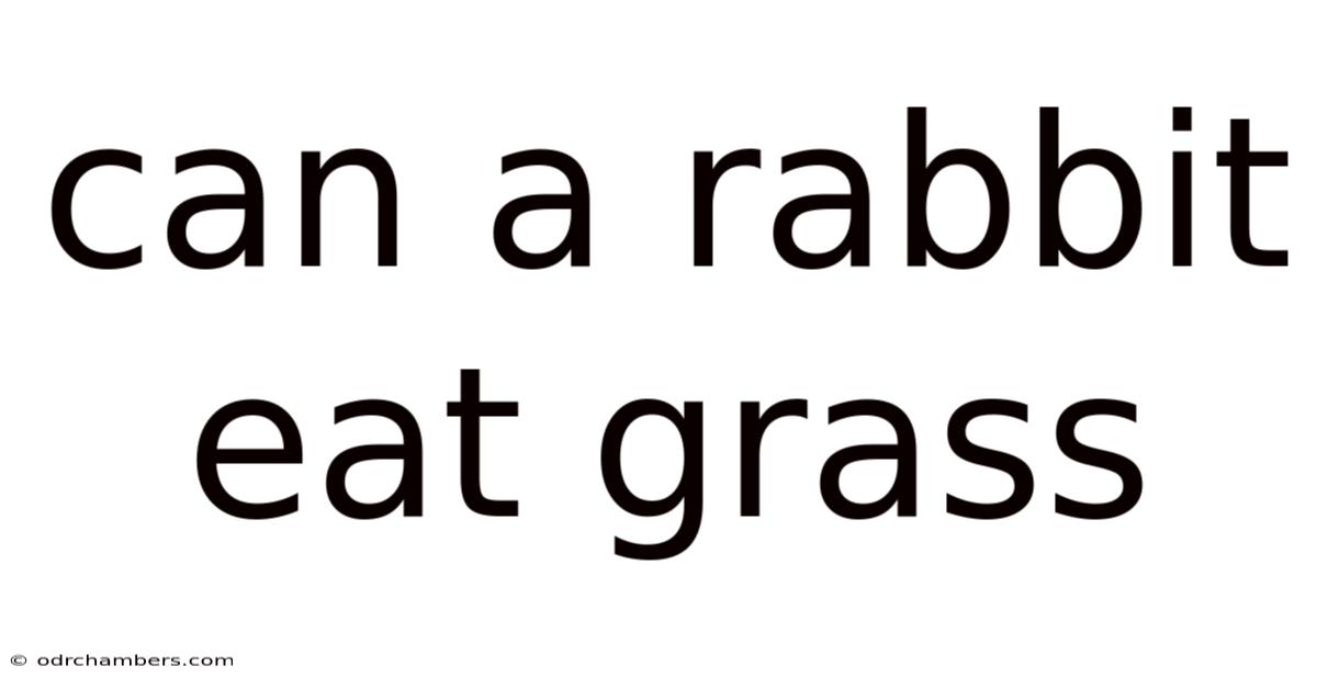 Can A Rabbit Eat Grass