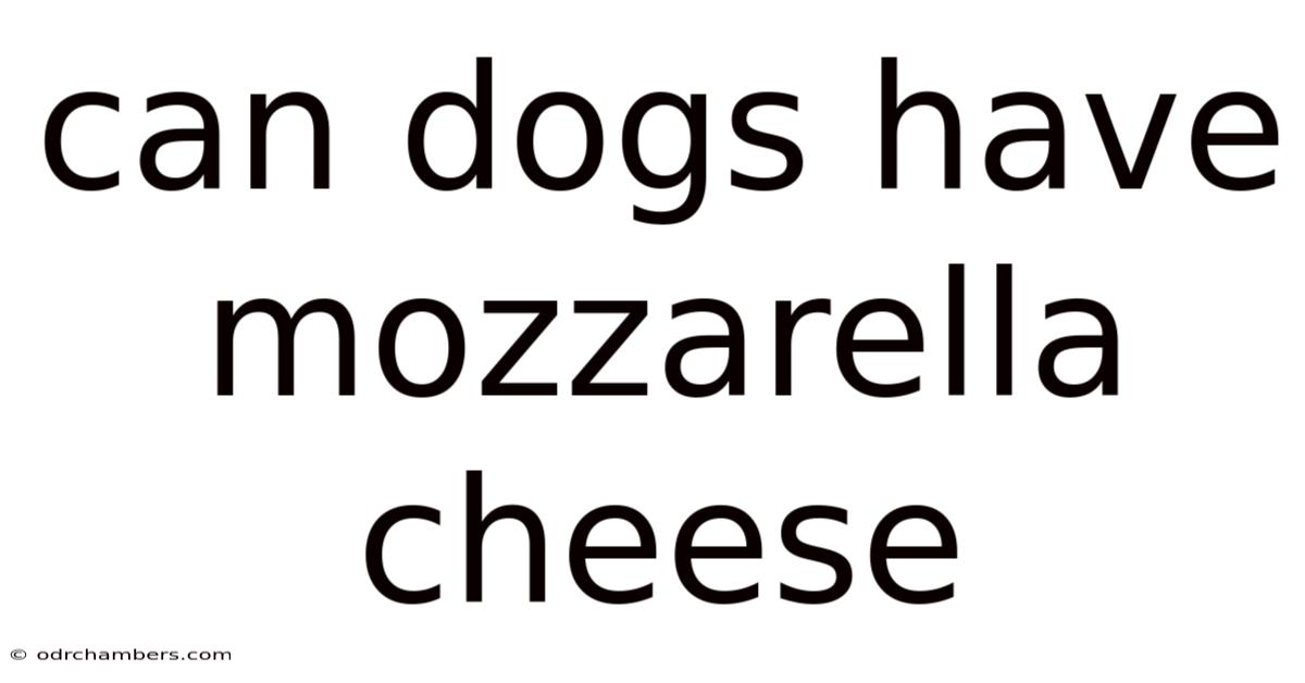 Can Dogs Have Mozzarella Cheese