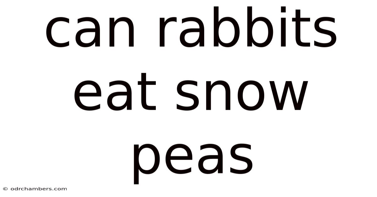 Can Rabbits Eat Snow Peas