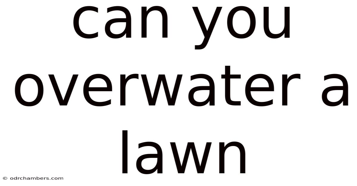 Can You Overwater A Lawn