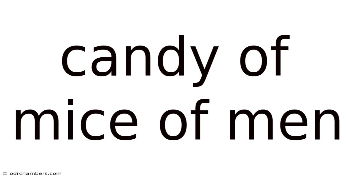 Candy Of Mice Of Men