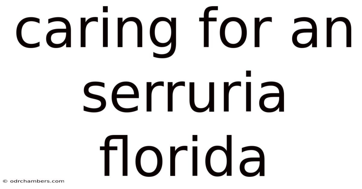 Caring For An Serruria Florida